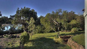A garden with various trees and shrubs, a clear sky, and a body of water in the background. - Freycinet Beachfront Retreat - Freycinet Holiday Houses (Coles Bay)