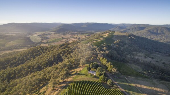 An aerial view of a vineyard with terraced fields, a small building, and rolling hills in the background.