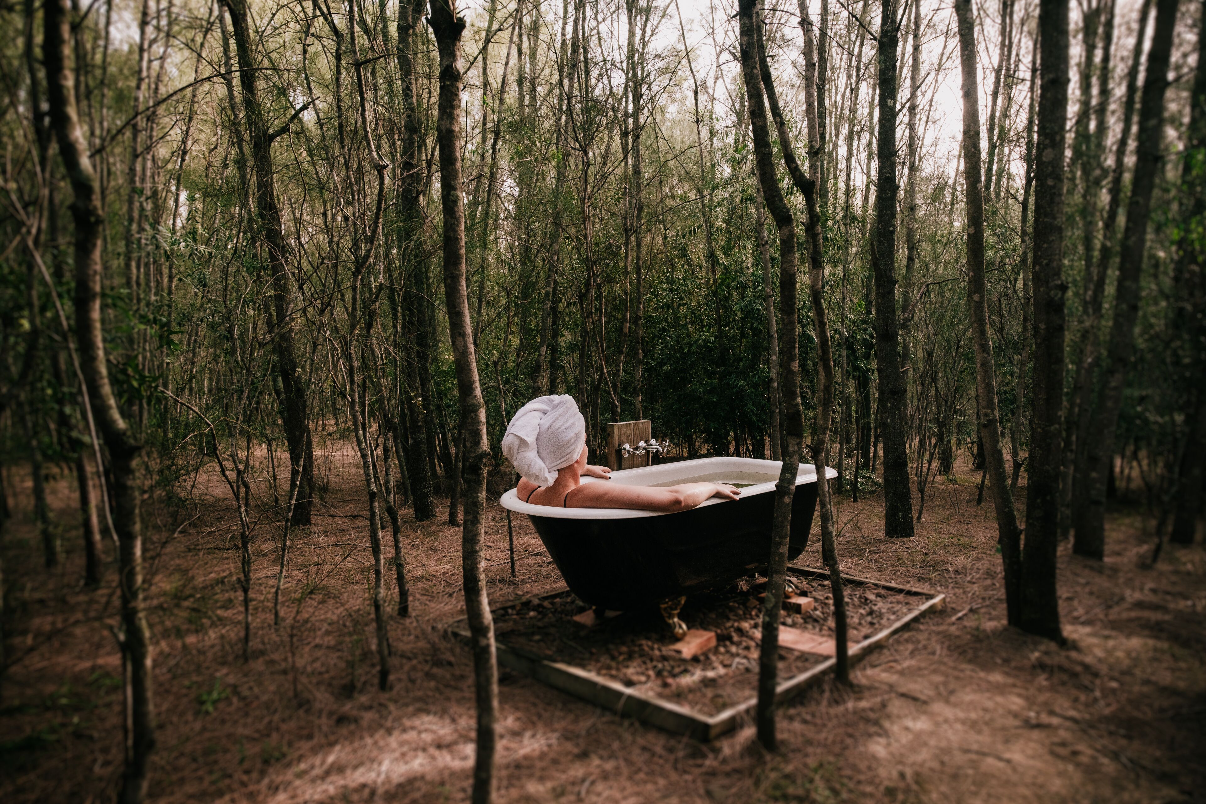 Billabong Moon - Treetops Lodge