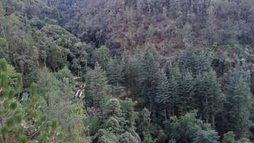 Terrain de l’hébergement