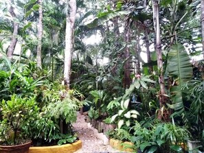 Área da propriedade