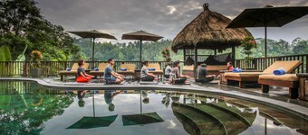 Discover a Luxury Jungle Experience ....