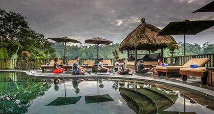 Tutustu ylelliseen viidakonkokemukseen ....