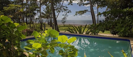 A swimming pool surrounded by lush greenery and a view of the beach.