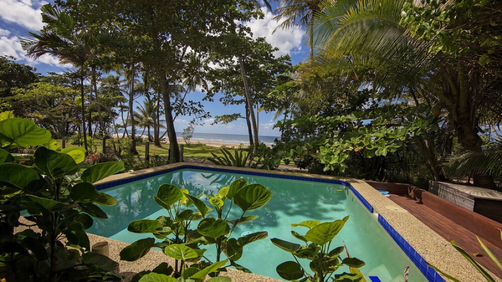 Ein Schwimmbecken, umgeben von üppiger tropischer Vegetation, mit Blick auf einen Strand und den Ozean im Hintergrund.