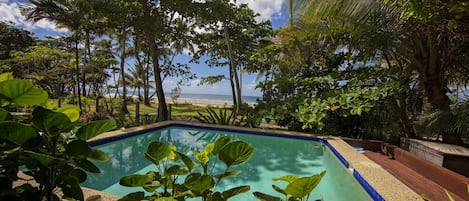 Ein Schwimmbecken, umgeben von üppiger tropischer Vegetation, mit Blick auf einen Strand und den Ozean im Hintergrund.
