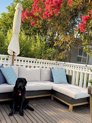 Une terrasse avec une clôture blanche, un canapé beige avec des coussins bleus, et un chien noir assis sur le sol.