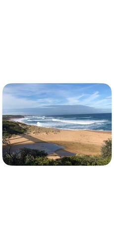 Sinnamon’s By The Sea | Pet-friendly