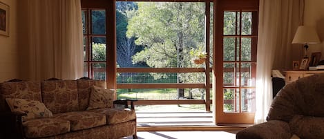 Smart TV, fireplace, books, music library
