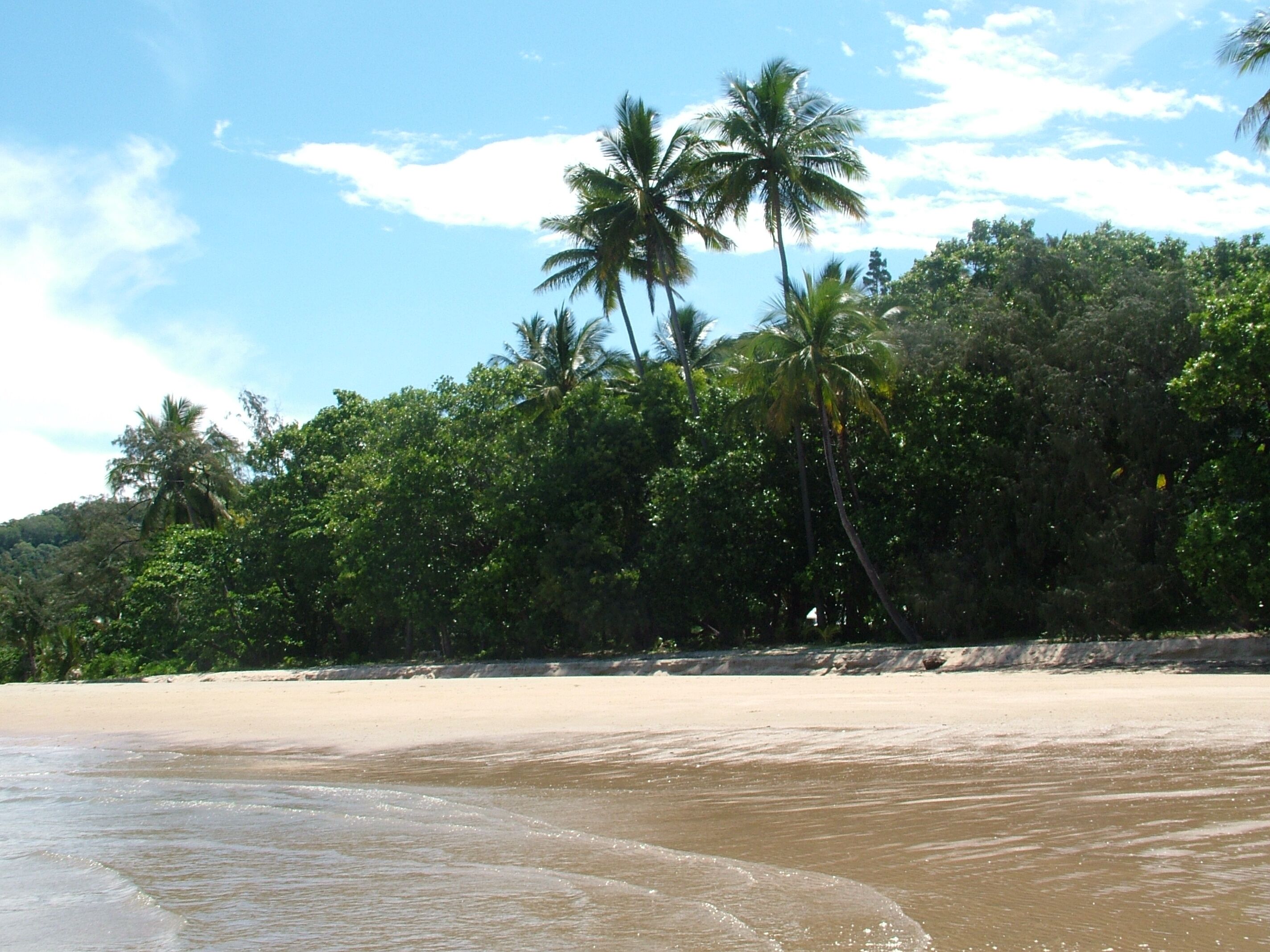 Une plage bordée de palmiers et dotée d’un rivage sablonneux.