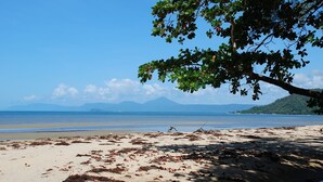 A beach with seaweed on the sand, a clear sky, and mountains in the distance.