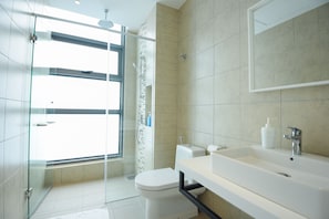 Shower, hair dryer, bidet, towels