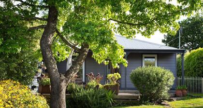 Absolute - Perfect for Girls Weekends and Families! Pets Welcome!