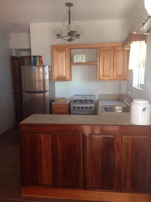 Fridge, microwave, oven, stovetop - Casa Azriel, Beach Front 1 bedroom with great location! (San Pedro)