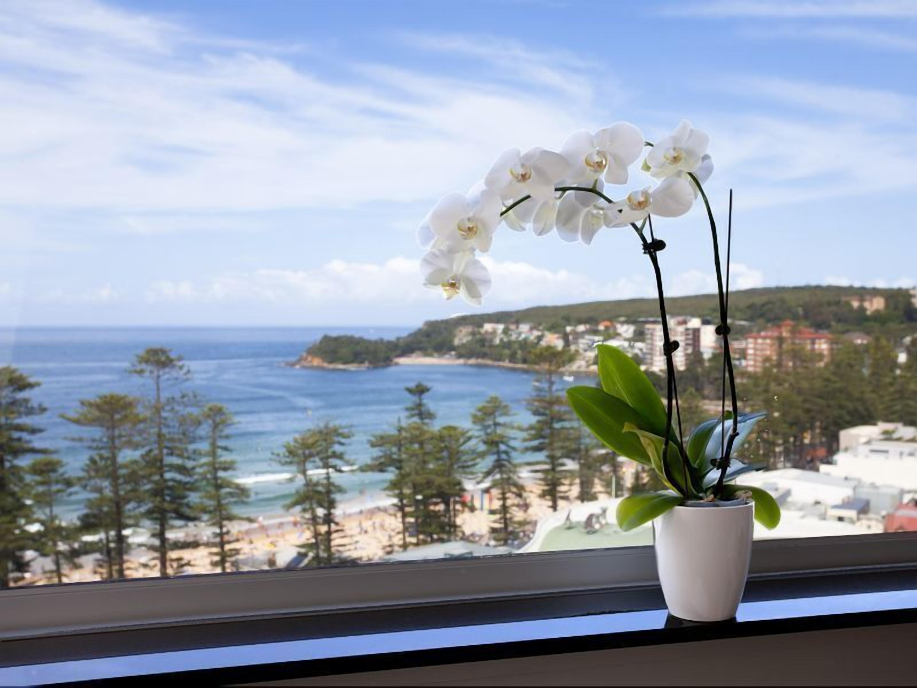 Manly Ocean Beach Apartment + Views! — image 2