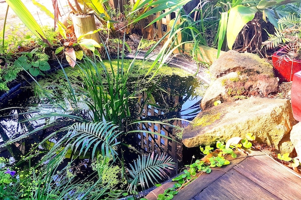 beautiful garden settings to enjoy!