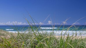 Nära stranden