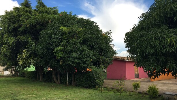 A courtyard with a grassy area, a red building, and dense green trees. - Perfect place for rest. Near to Oaxaca (Oaxaca)