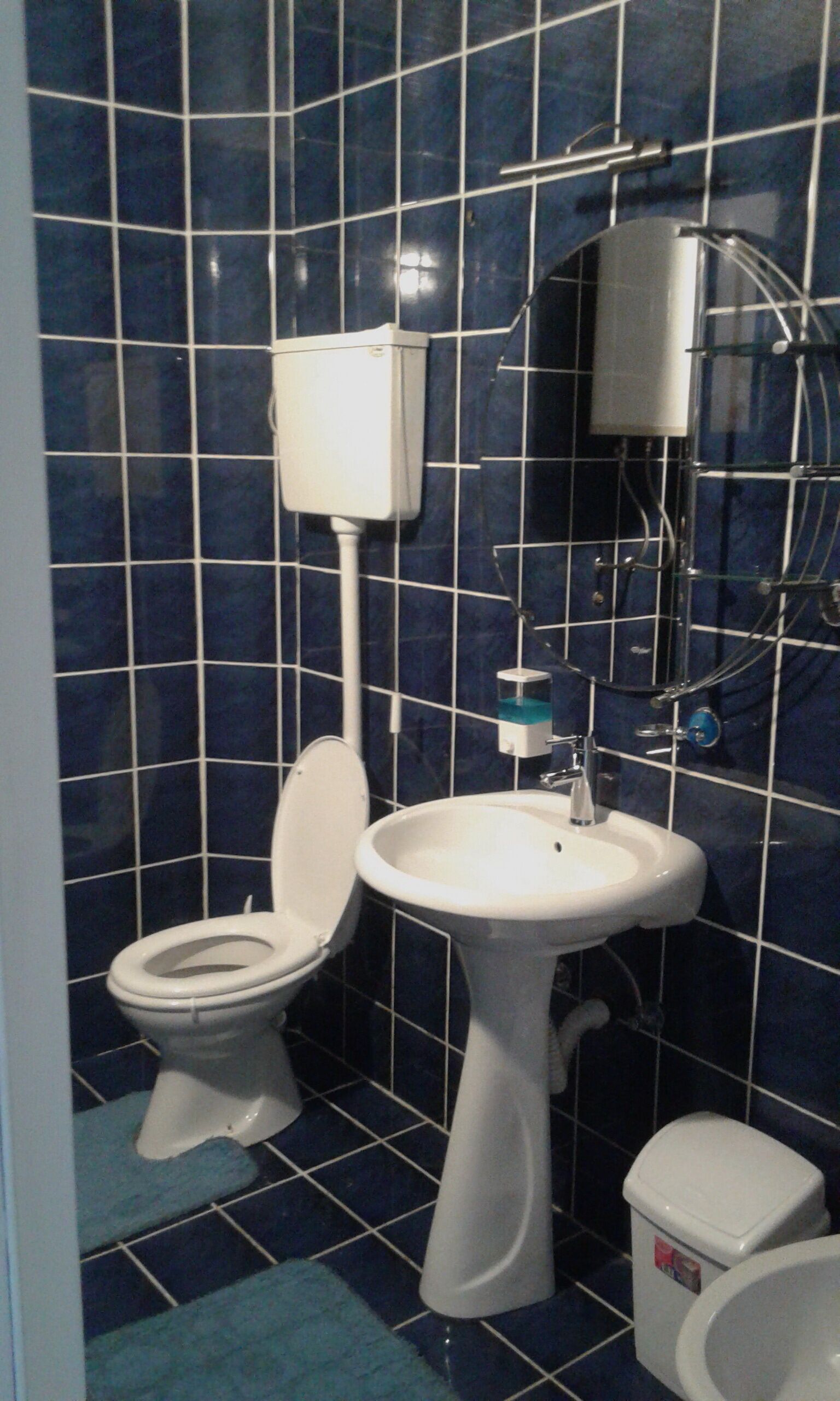 Une salle de bain équipée de toilettes, d’un lavabo et d’un bidet.