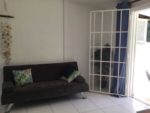 Smart TV, DVD player, books, stereo