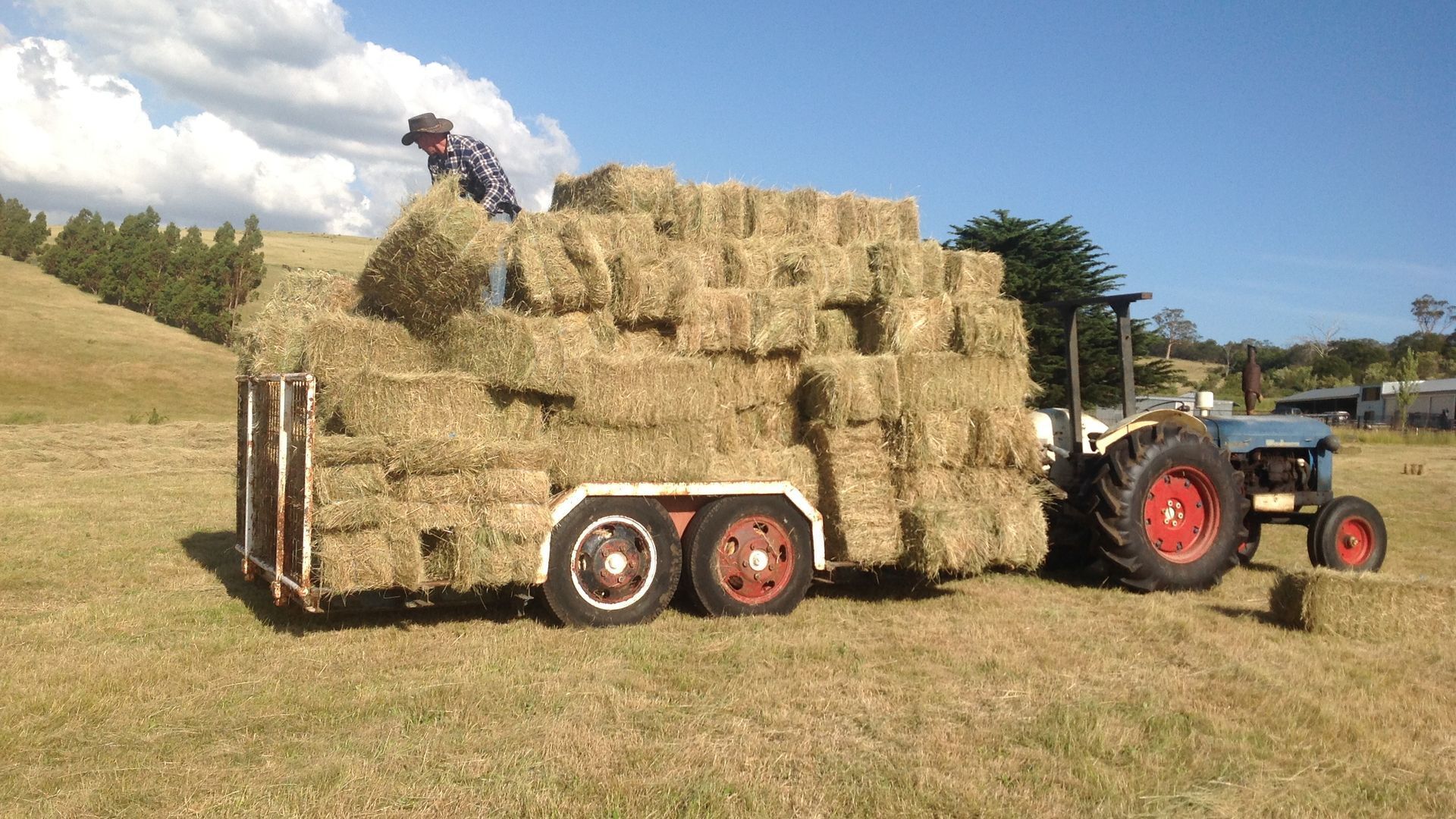 Glenayr Champagne Apartment — image 3