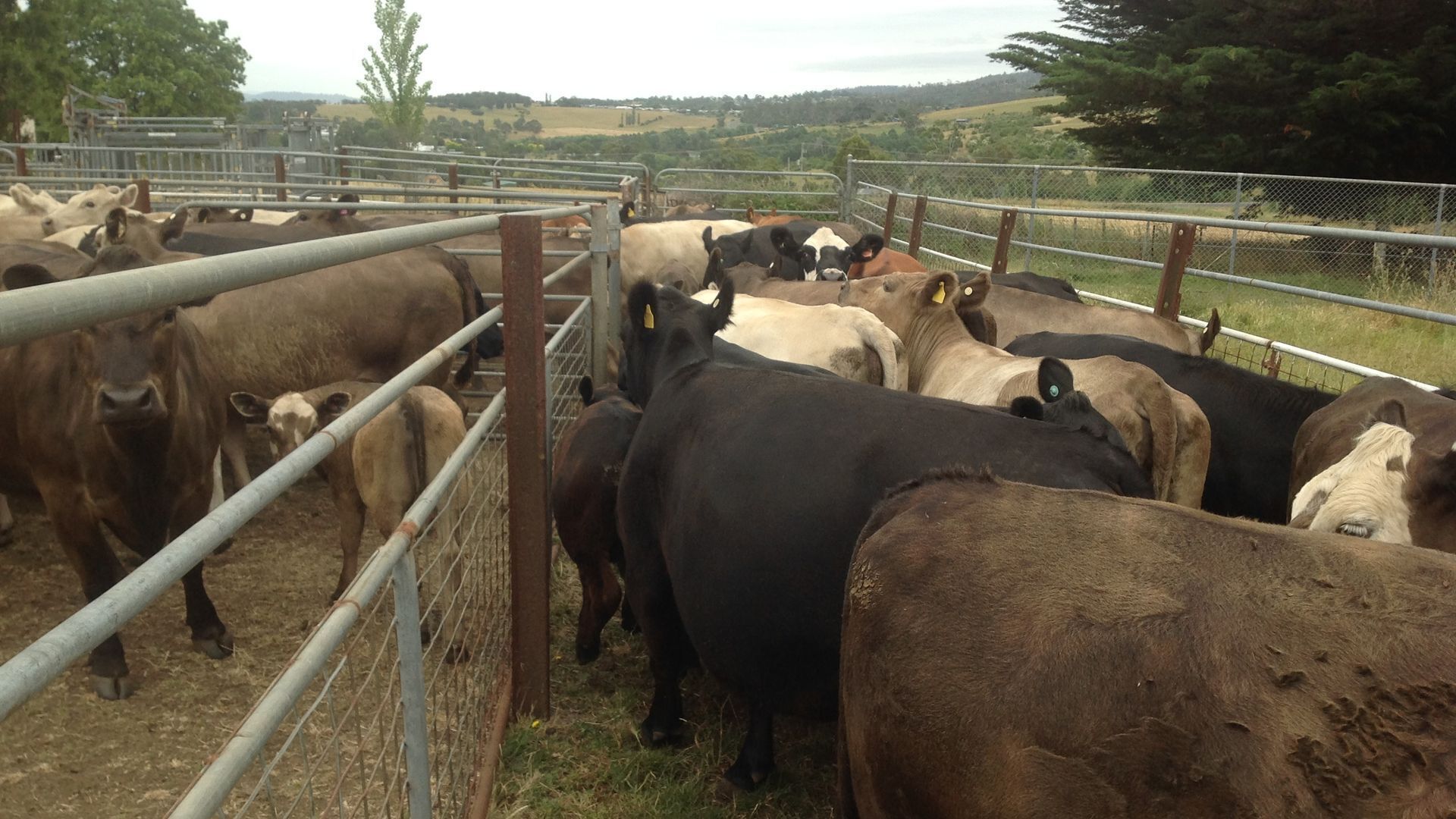 Glenayr Champagne Apartment — image 4