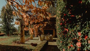 Un espace extérieur aménagé en terrasse, avec une table et des chaises en pierre, entouré d’une végétation luxuriante et de plantes en fleurs.