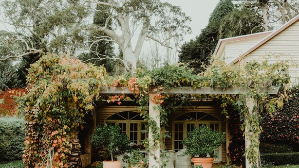 Un espace extérieur aménagé, abrité et doté de plantes en pot et d’une pergola en bois.