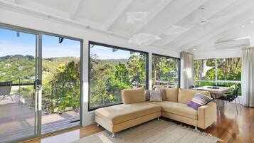 TV, fireplace, DVD player