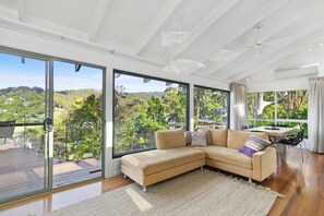 TV, fireplace, DVD player