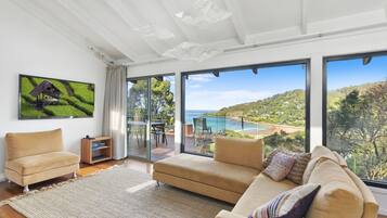 TV, fireplace, DVD player