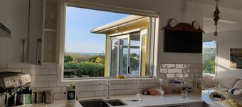 Sunny bach on beachfront with heaps of room and lots to do