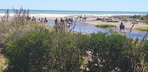 Plage à proximité, chaises longues, serviettes de plage