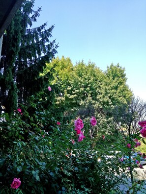 Overnattingsstedets uteområder