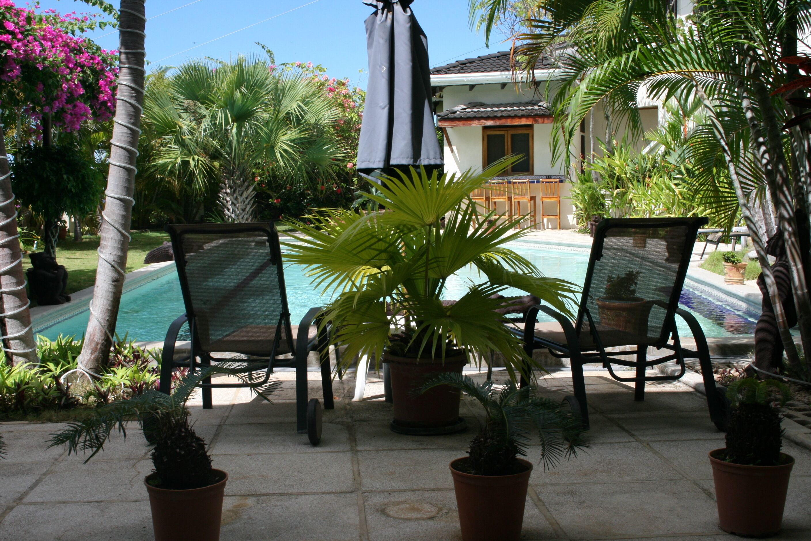 A poolside area with two chairs, a potted plant, and a view of a building with a tiled roof.
