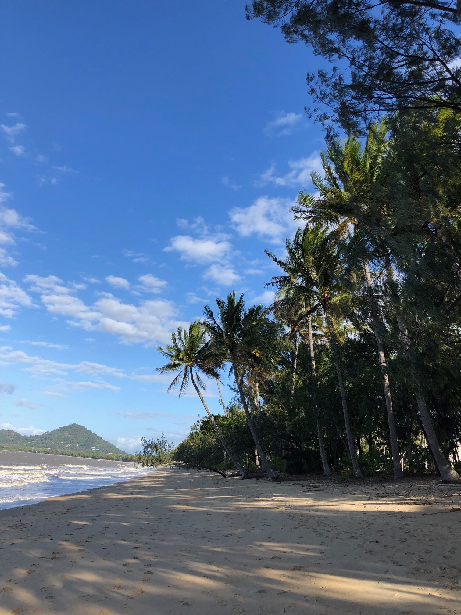 Private pool oasis in Palm Cove — image 20