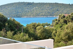 Terrain de l’hébergement 