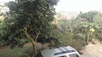 Área da propriedade