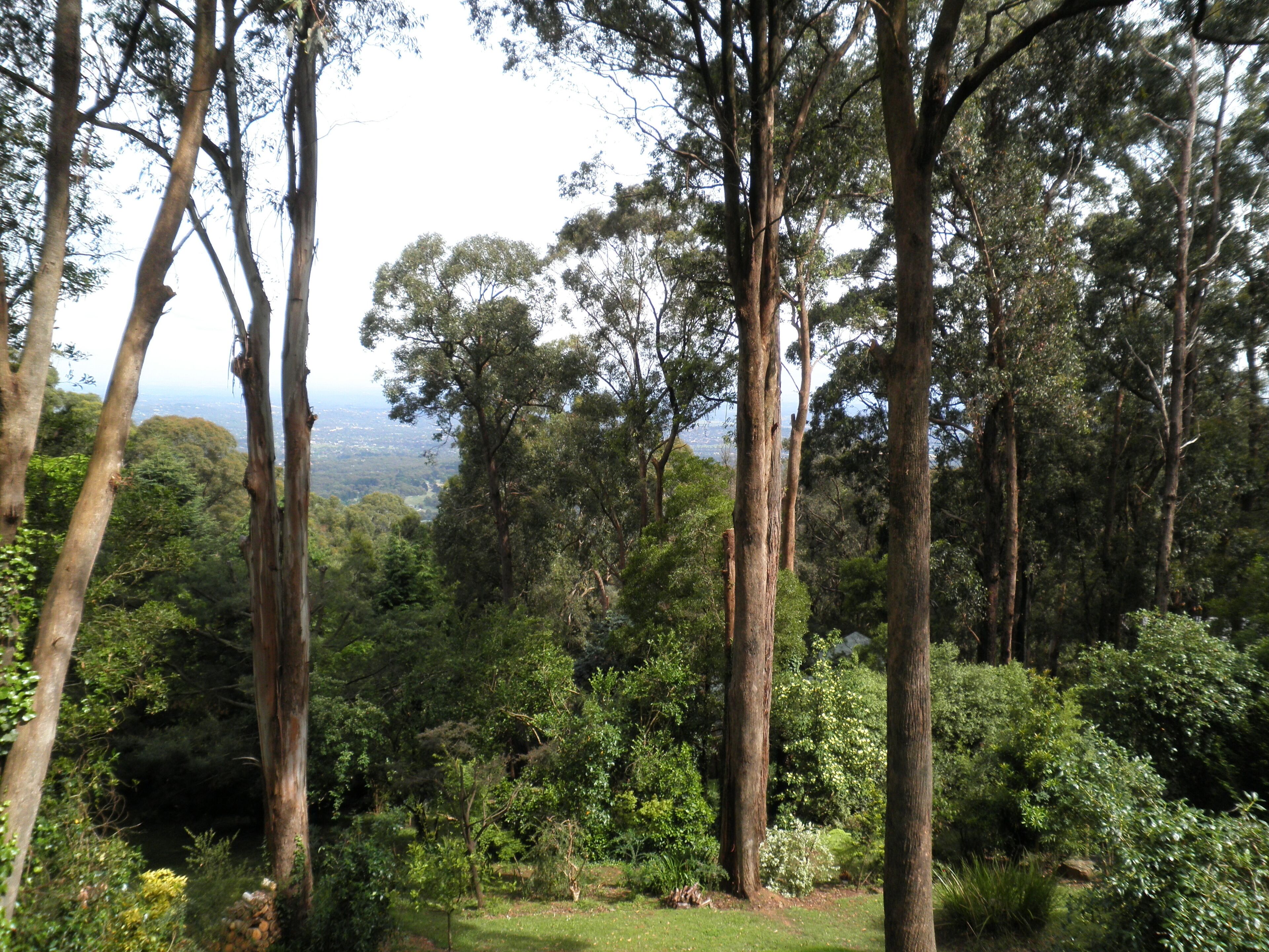 Verandah Views Cottage - Luxury Spa Cottage with Breathtaking Views — image 13