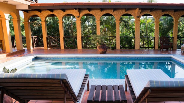 Une piscine entourée de chaises longues en bois, avec une plante en pot placée au centre.
