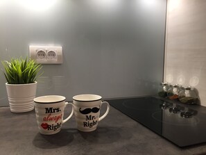 Kühlschrank, Mikrowelle, Herdplatte, Kochgeschirr/Geschirr/Besteck