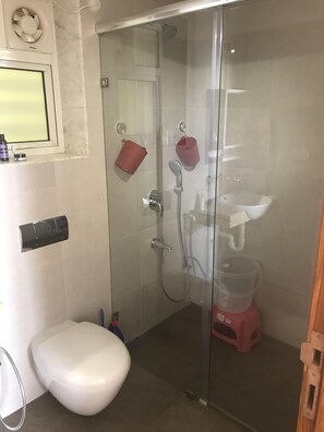 Hair dryer, soap, shampoo, toilet paper