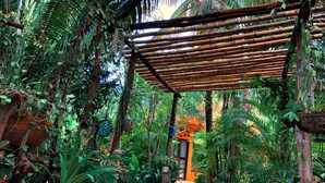 A lush garden with a bamboo pergola, potted plants, and a pathway leading to a building.