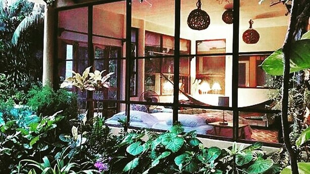 A modern house with large windows, a visible living area with a sofa, and a garden with various plants.