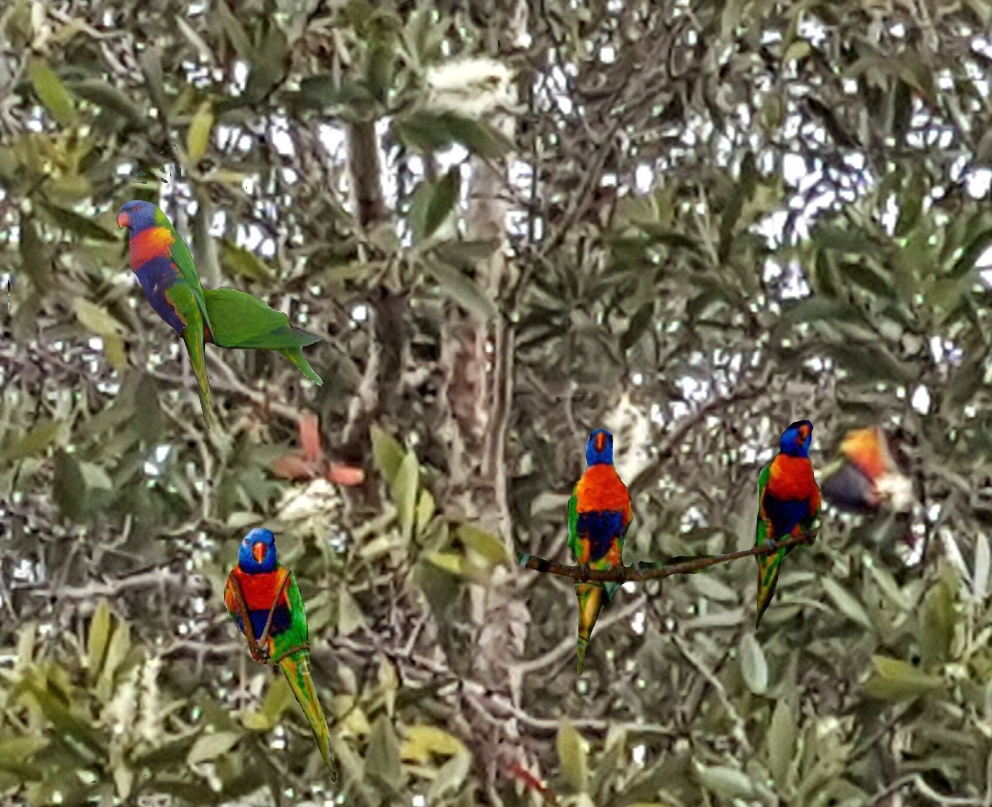 The Tardis2 - Huge Leafy Balcony BBQ — image 25