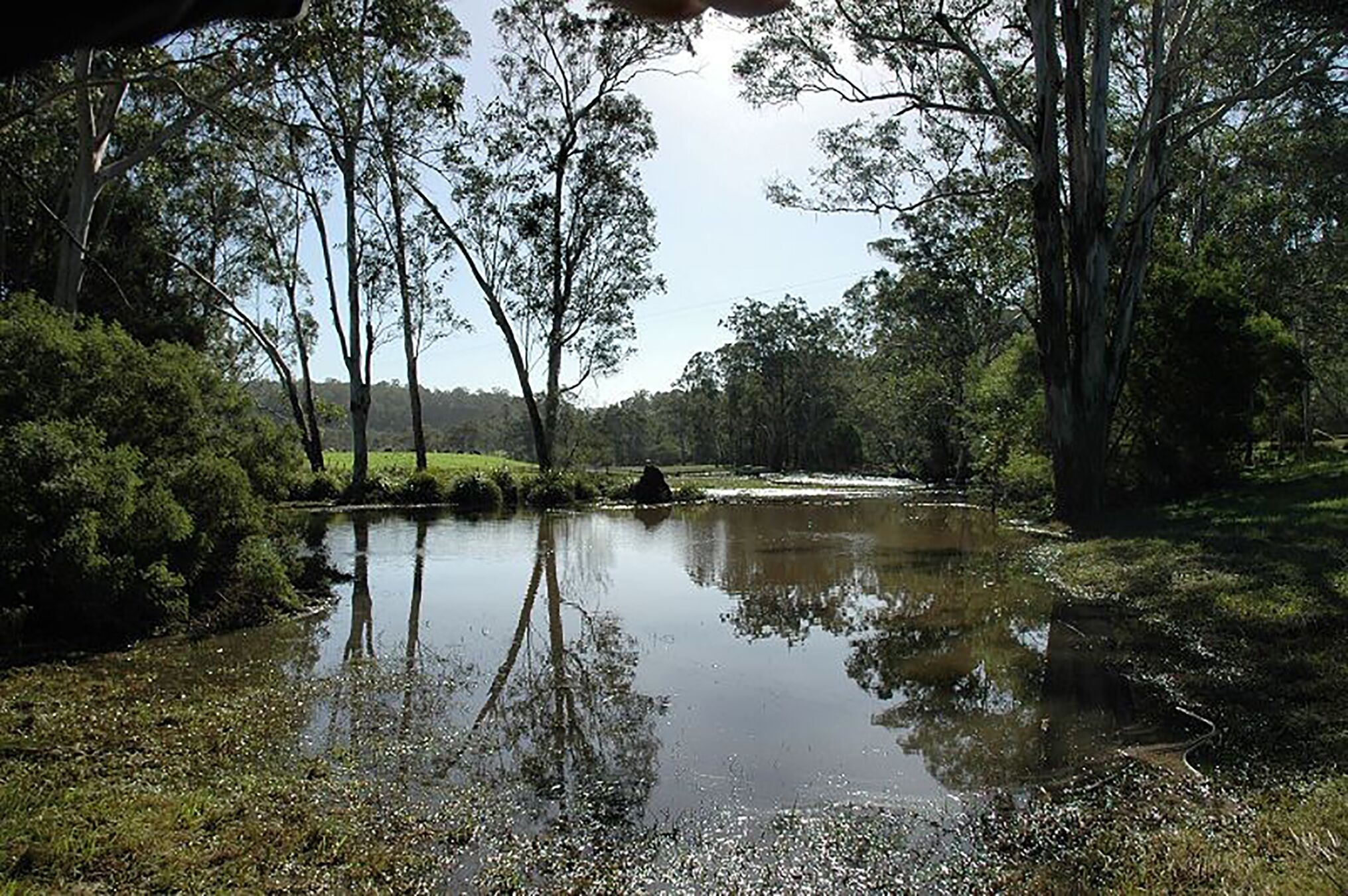 Luxury self-contained homestead and a farm full of beauty and adventure — image 29
