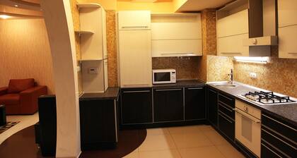 Large VIP Luxury Apartment with High-Tech Design.