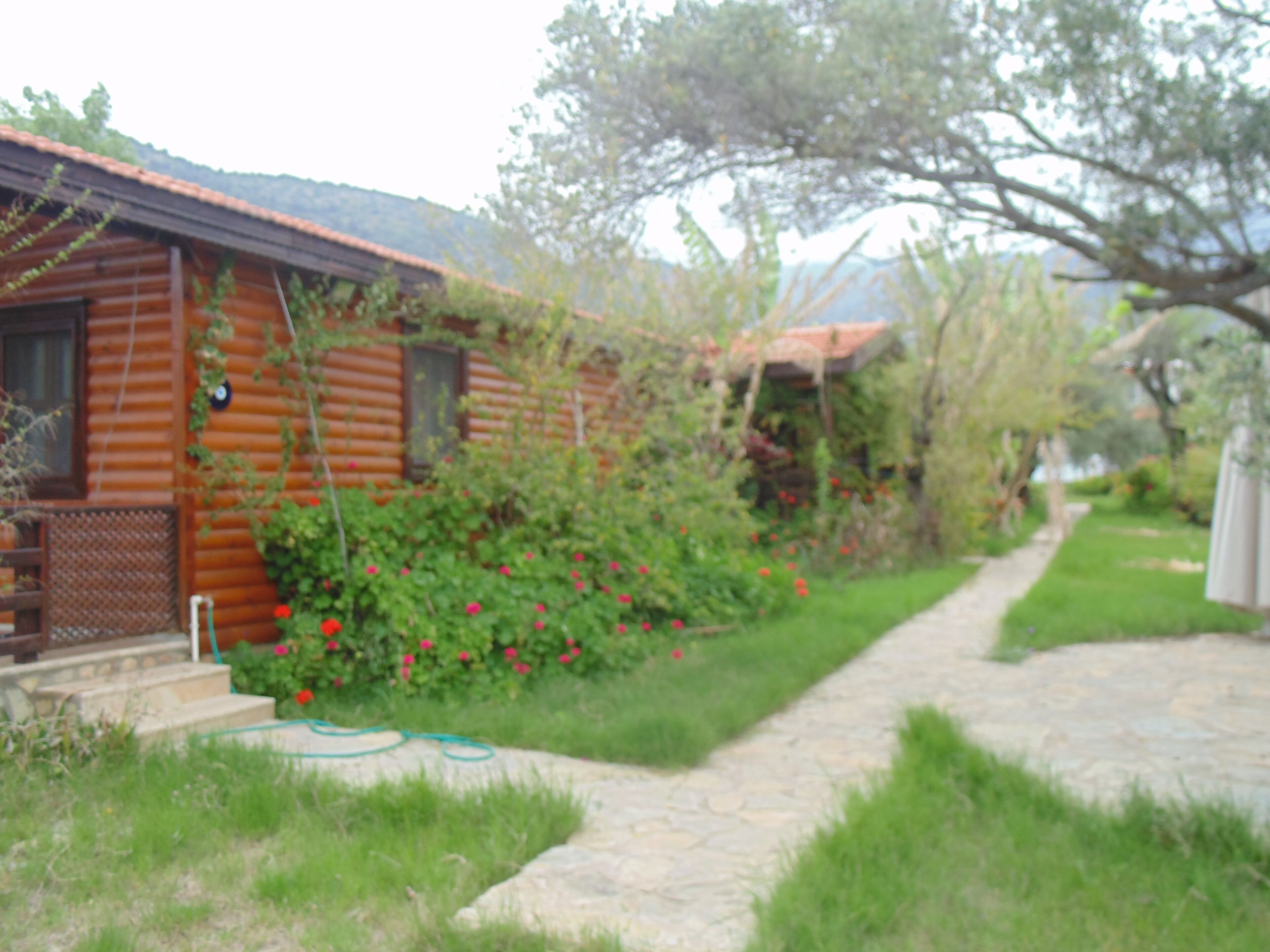 Datça, wooden Chalets few steps from the Sea!