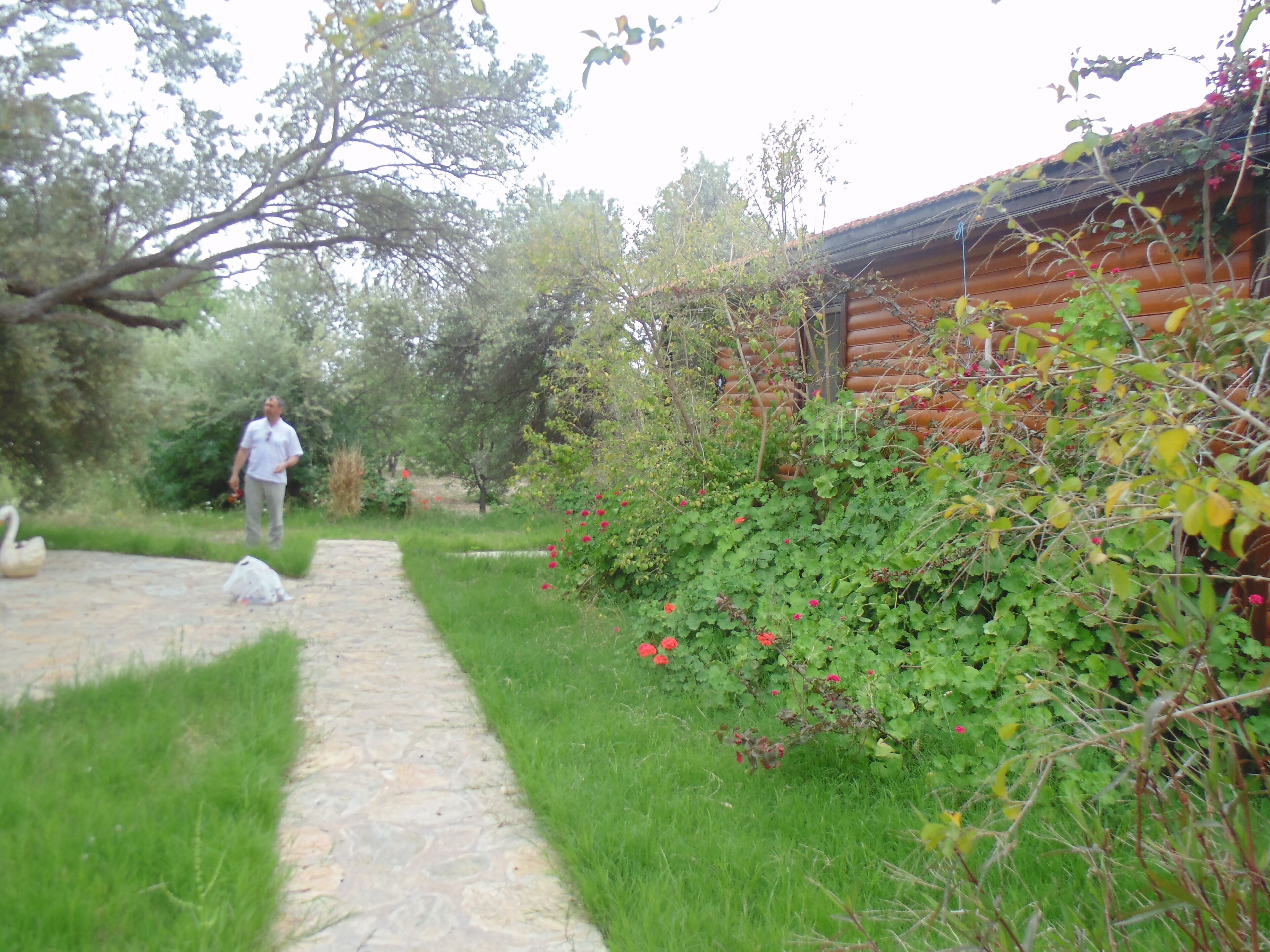 Datça, wooden Chalets few steps from the Sea!