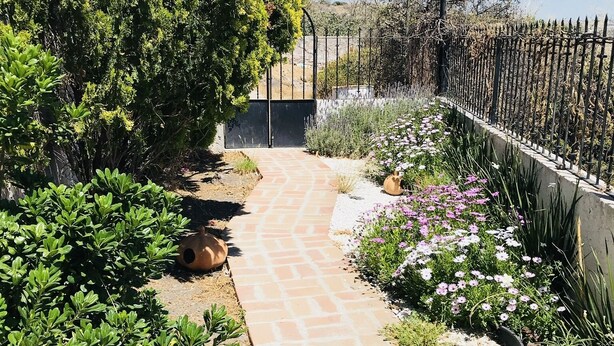 Ein Gartenweg mit Pflasterweg, umgeben von Pflanzen und einem Metallzaun.